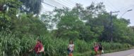 População denuncia terrenos baldios e alertam risco de vida e à saúde